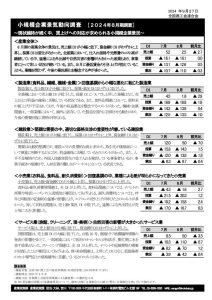 2024年8月期小規模企業景気動向調査結果のサムネイル