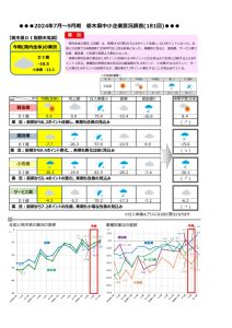 第181回景況調査報告書のサムネイル