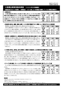 2024（９月期）小規模企業景気動向調査_結果のサムネイル