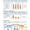 地域経済動向調査報告書ver.1.2_2024のサムネイル