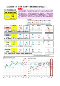 第184回景況調査報告書のサムネイル