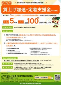 別添2_とちぎ賃上げ加速・定着支援金チラシのサムネイル